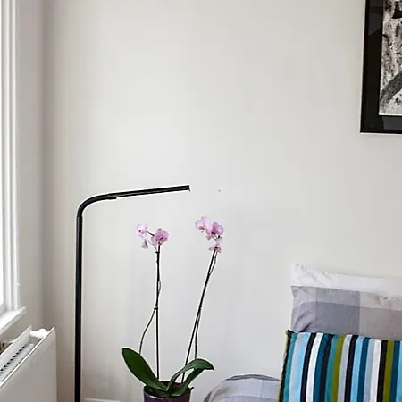 Kuwadro Guesthouse Centrum Guest house Amsterdam