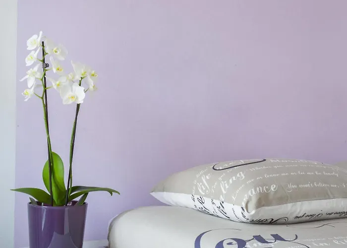 Kuwadro Centrum Maison d'hôtes Amsterdam