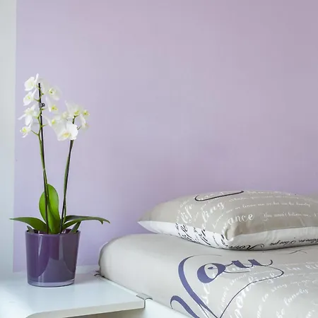 Kuwadro Centrum Gæstehus Amsterdam